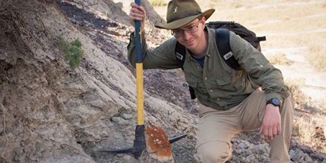 Paleontologist Scott Persons, graphic alongside a partially unclosed skull. The Styracosaurus skull has implications for how horned dinosaurs are identified. (Credit: Scott Persons)