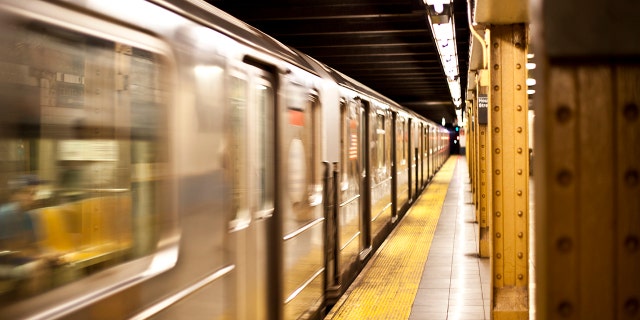 Protesters say New York City's police have used excessive force in making arrests at city subway stations.