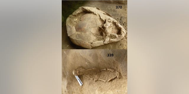 The infants were buried wearing helmets made from the skulls of children. (Sara Juengst)