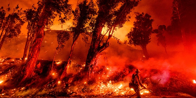 Flames consume a hillside as firefighters battle the Maria Fire in Santa Paula, Calif., on Friday.