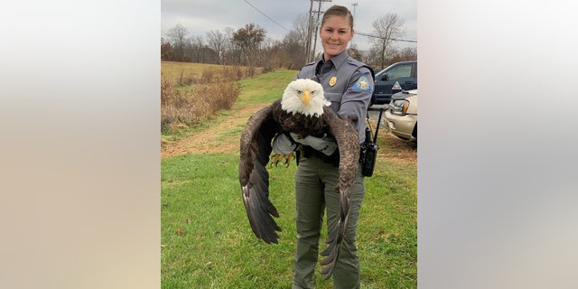 Conservation Agents Haeley Eichler and Sean Ernst found and captured the injured bird before sending it for treatment.