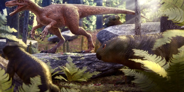 The world's oldest meat-eating dinosaur has been unearthed in southern Brazil. Named Gnathovorax cabreirai, it lived 230 million years ago when South America was still part of the supercontinent called Pangea. The skeleton is virtually intact - including razor-sharp teeth and claws that would have made it a ferocious 'killing machine'. (Credit: SWNS)