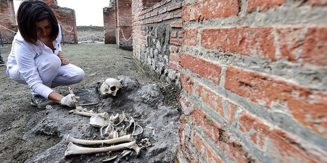 New excavations at Pompeii, Naples, Italy - 25 Nov 2019 Pompeii excavations opened to the public along with the great discoveries in the Regio V in the Archaeological Park of Pompeii. (Credit: Napolipress/Shutterstock (10484952m) Pompeii excavations)