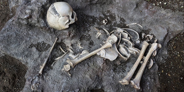 Pompeii excavations New excavations at Pompeii, Naples, Italy - 25 Nov 2019 Pompeii excavations opened to the public along with the great discoveries in the Regio V in the Archaeological Park of Pompeii. (Credit: Napolipress/Shutterstock (10484952h))