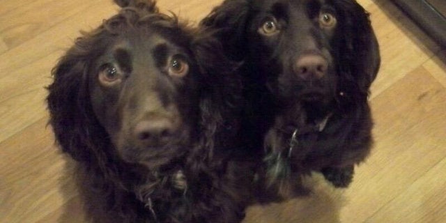 Coco, left, and daughter, Millie.