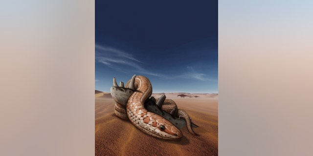 An ancient snake's cheekbone sheds light on evolution of modern snake skulls. (Credit: RAÚL ORENCIO GÓMEZ)