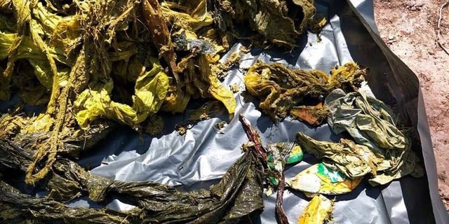 Some of the plastic materials found inside the deer. (Thailand Department of National Parks, Wildlife and Plant Conservation/Facebook)