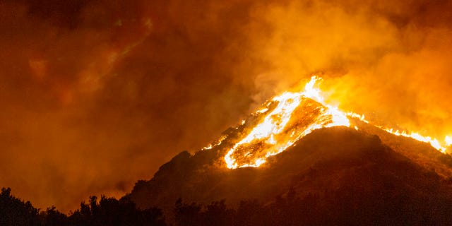 The Maria Fire burns on a hillside as it expands up to 8,000 acres on its first night on November 1, 2019 near Somis, California. (Photo by David McNew/Getty Images)