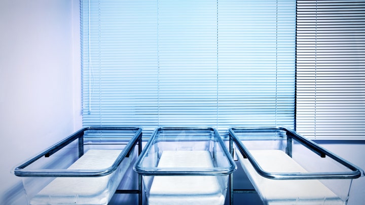 Fox News Flash top headlines for Nov. 13