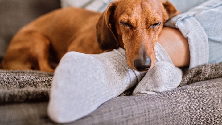 Fox News Flash top headlines for Nov. 20