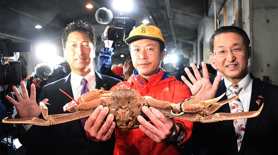 Fox News Flash top headlines for Nov. 8