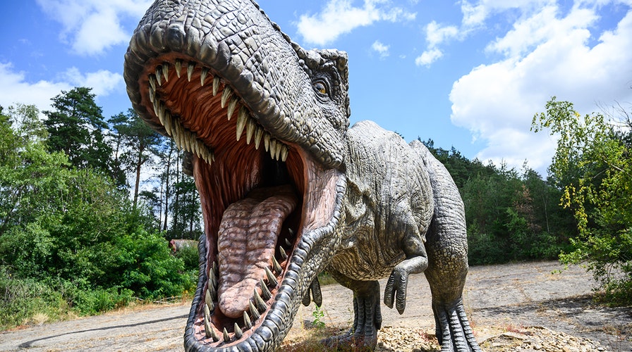 Scary 'Dynamoterror' dinosaur discovered