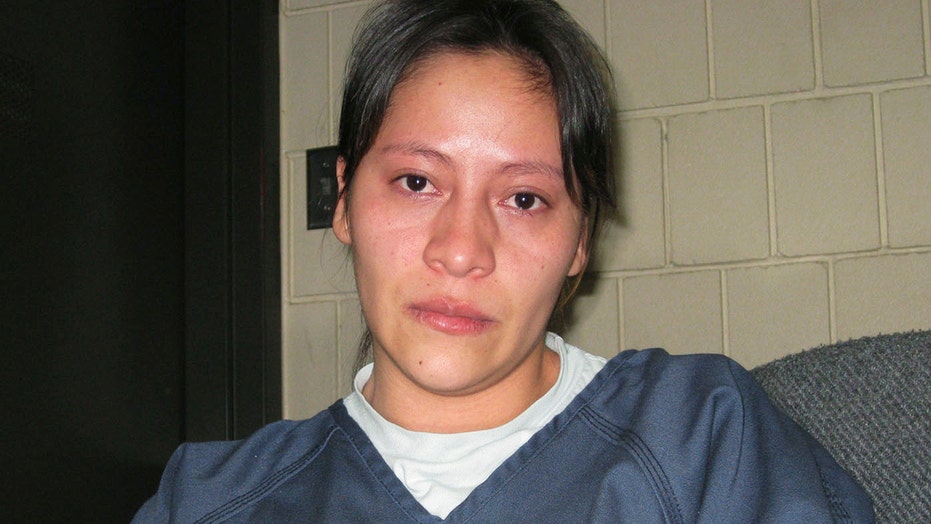 Fox News Flash top headlines for Nov. 28