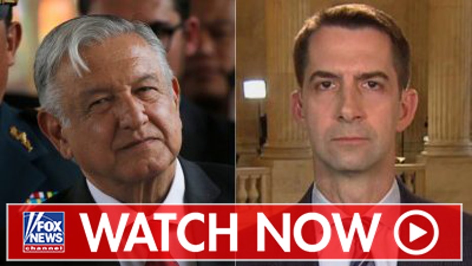 Tom Cotton reacts to Mexican cartels murdering Americans