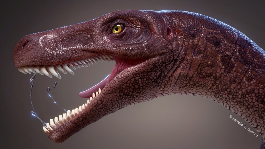 carnivore dinosaur with horn on nose