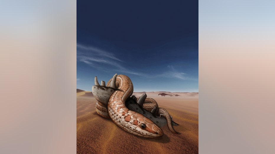 Prehistoric snakes had limbs for 70M years, new study shows | Fox News