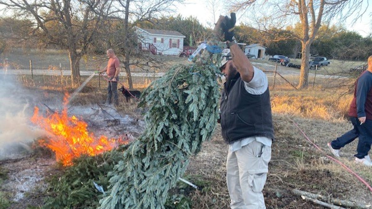 Volunteers helping Jamie Willis get Christmas trees ready for woodworking.