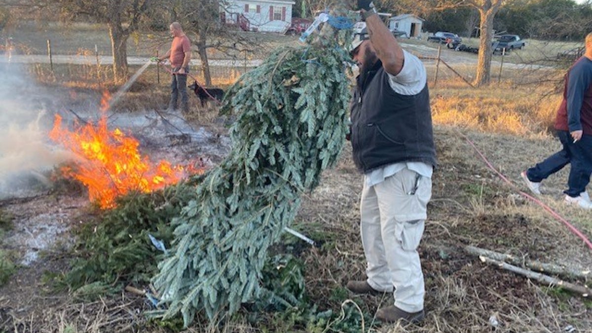 Volunteers helping Jamie Willis get Christmas trees ready for woodworking.