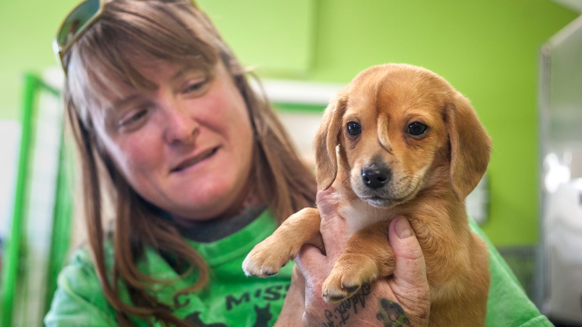 Mac's Mission animal rescue founder Rochelle Steffen holds Narwhal the Little Magical Furry Unicorn, who drew international attention because of a tail-like growth on his face. (Tyler Graef/The Southeast Missourian via AP, File)