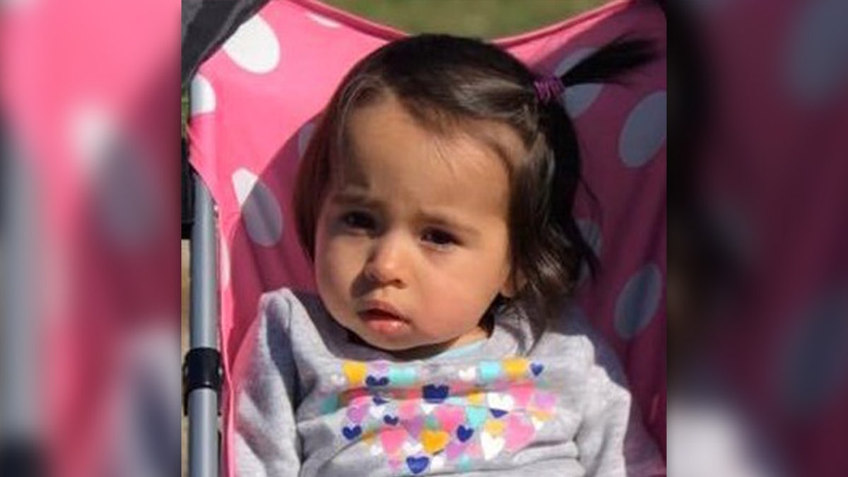 The Ansonia Police Department wrote on its Facebook page Tuesday that they are trying to find missing 1-year old Venessa Morales, who may be endangered.