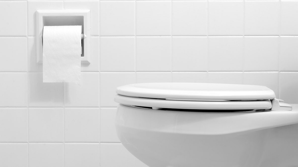 A new study reveals that flushing the toilet produces a plume that can rise almost three feet into the air. (iStock)