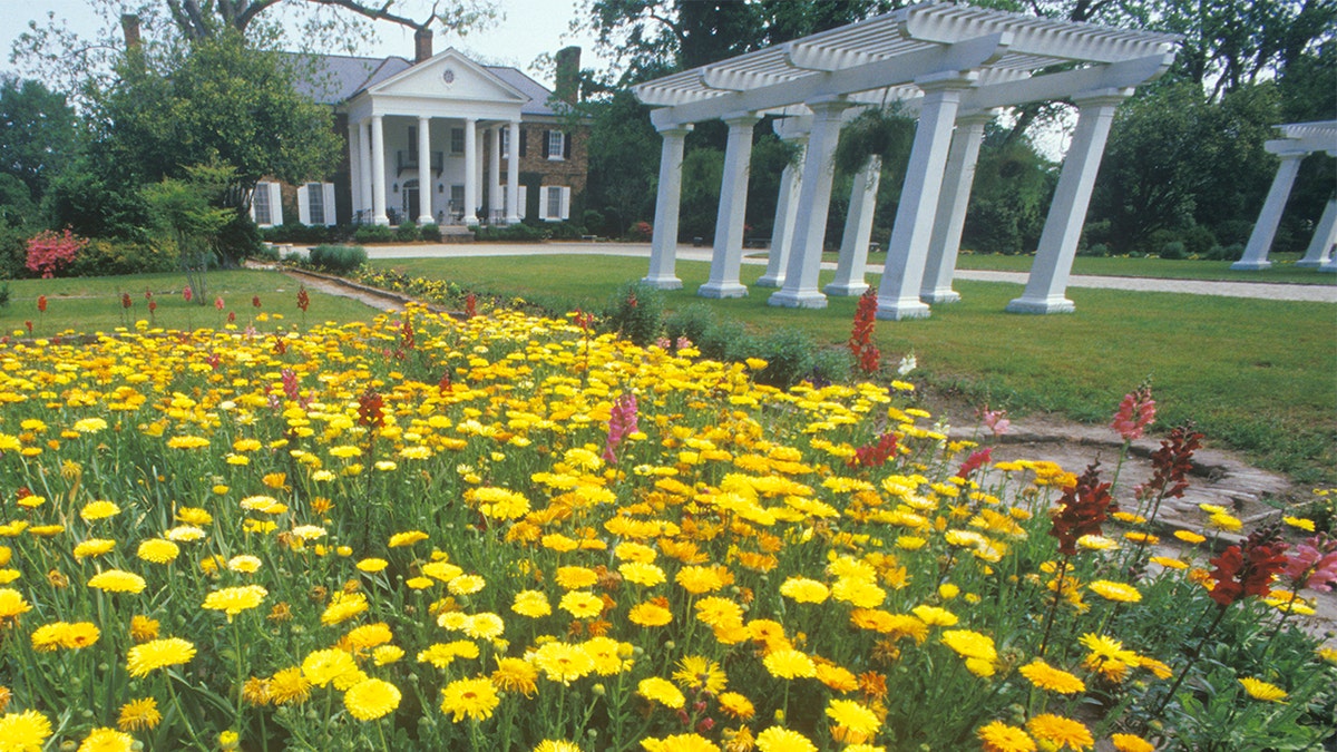 Home and gardens of the Boone Hall Plantation, Charleston, S.C. (Photo by: Joe Sohm/Visions of America/Universal Images Group via Getty Images)