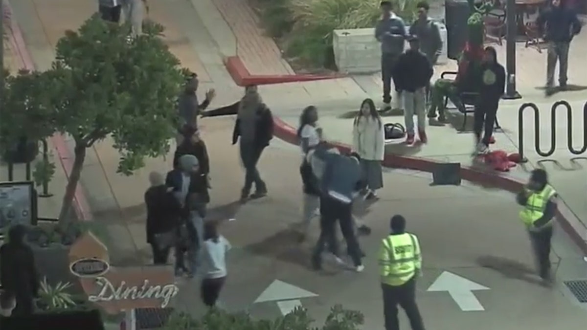 An attack involving an off-duty California Highway Patrol officer and a group of teens at a mall on Black Friday was caught on camera. The officer said it all started after a woman accused the group of teens of stealing her cellphone.