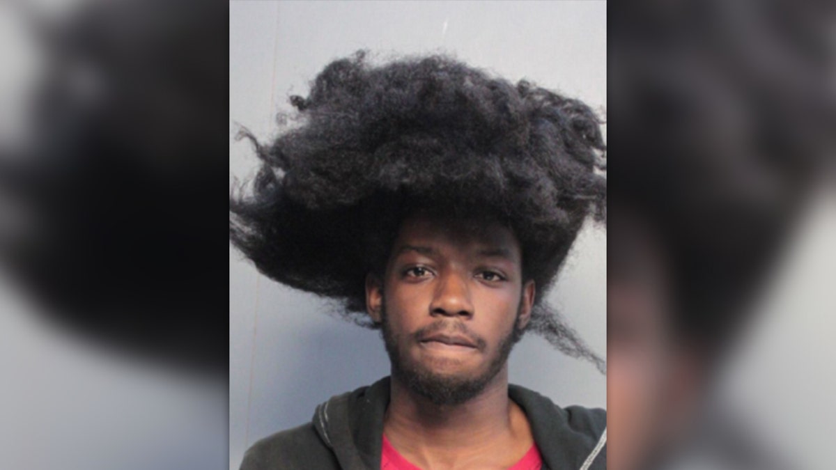 Emmanuel Reggin, 18, has been charged with third-degree grand theft for allegedly attempting to steal $2,800 in electronic equipment, arrest records said.