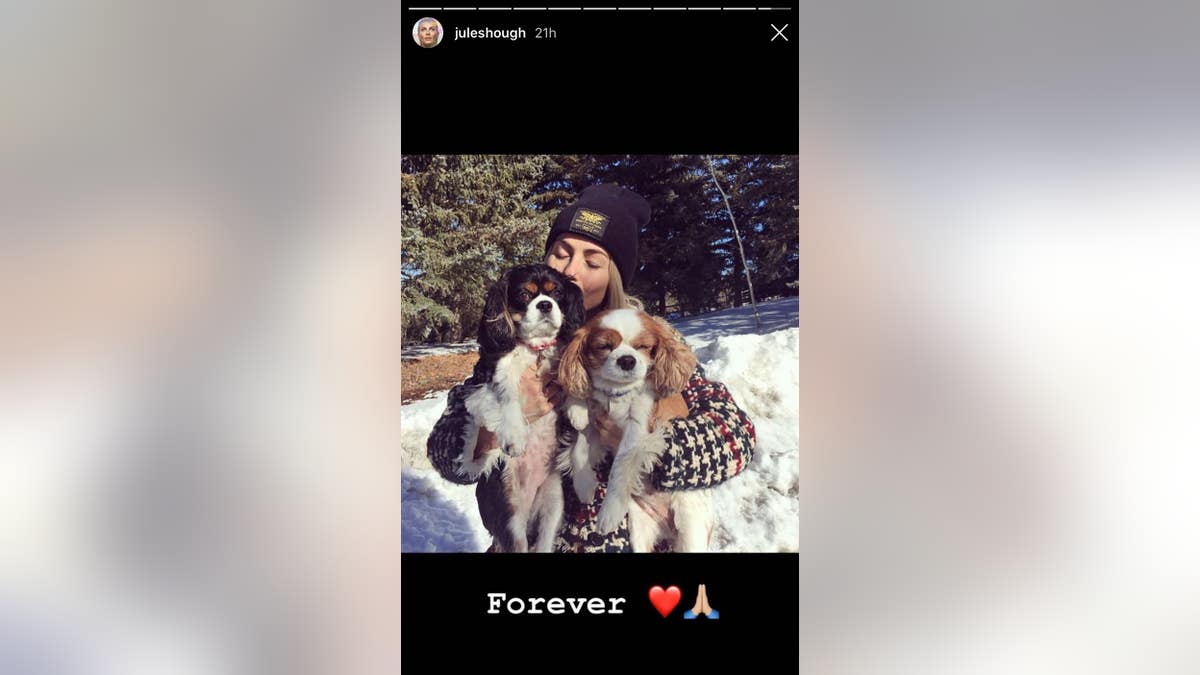 Julianne Hough pays tribute to her late dogs, Lexi and Harley, on her Instagram Story from Dec. 25.