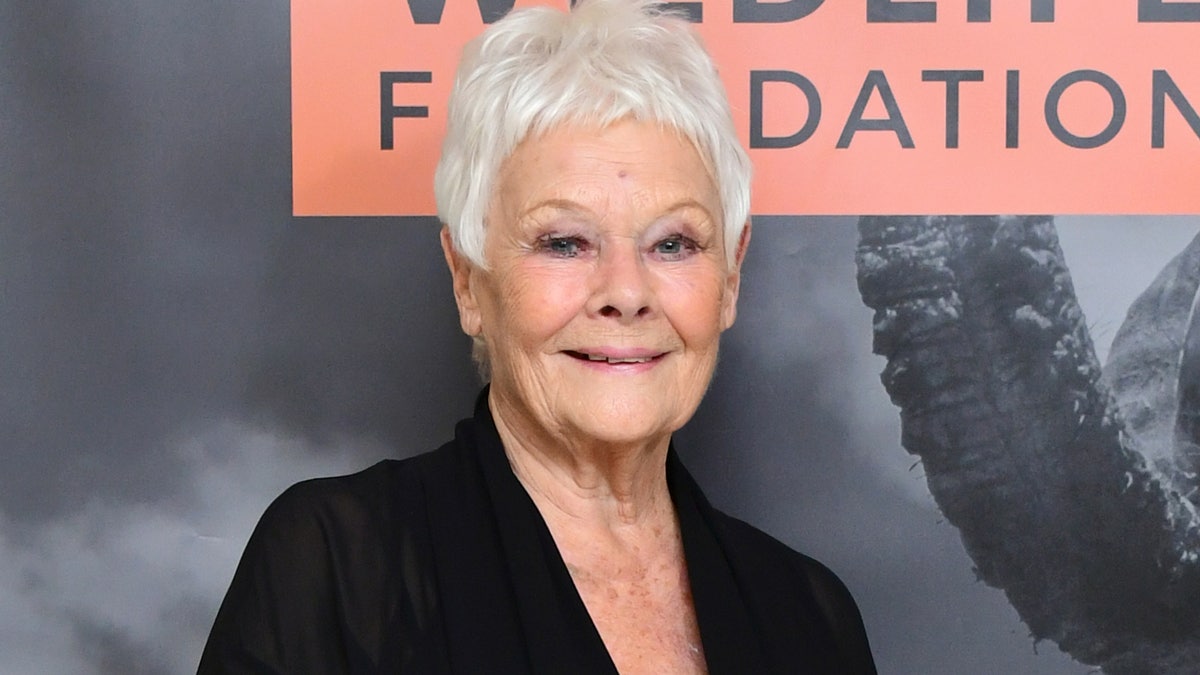 Dame Judi Dench arriving at the Wildlife Ball fundraiser at the Dorchester in London. (Photo by Ian West/PA Images via Getty Images)