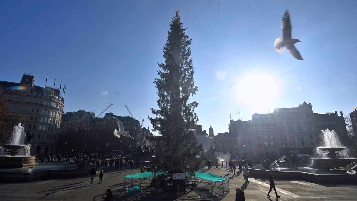 A spokesperson for the Westminster Council said in a statement that it was "a shame that people have to always be so negative" regarding the tree's appearance.