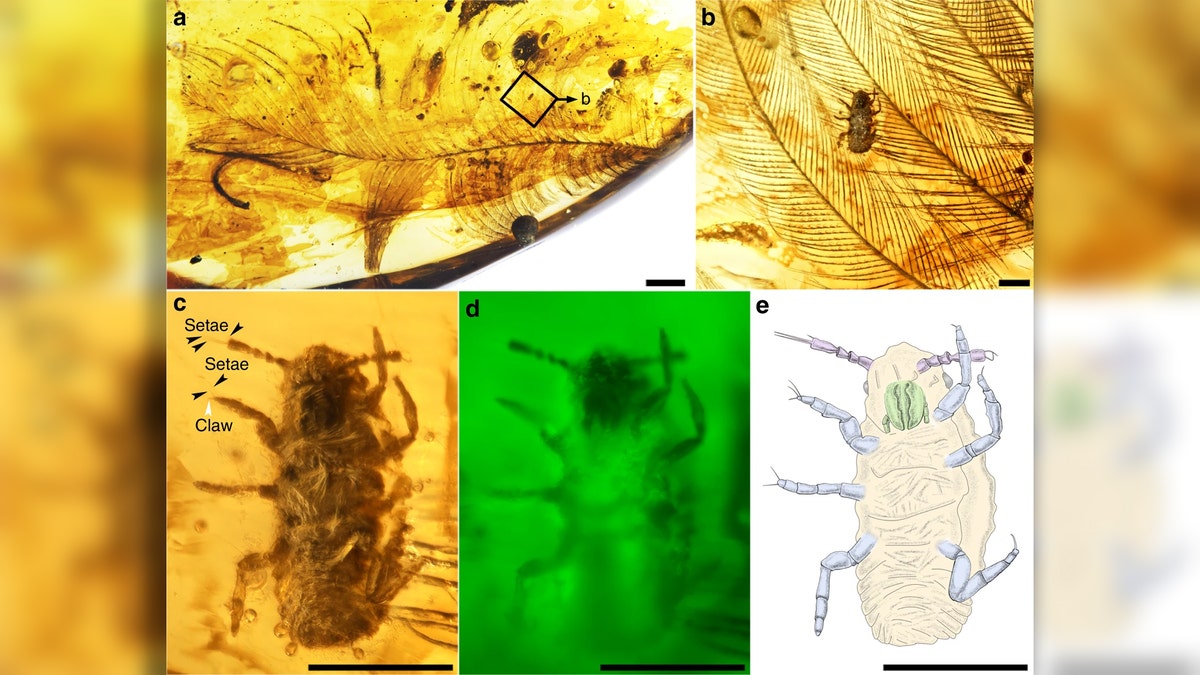 (Credit: Taiping Gao/Nature Communications)