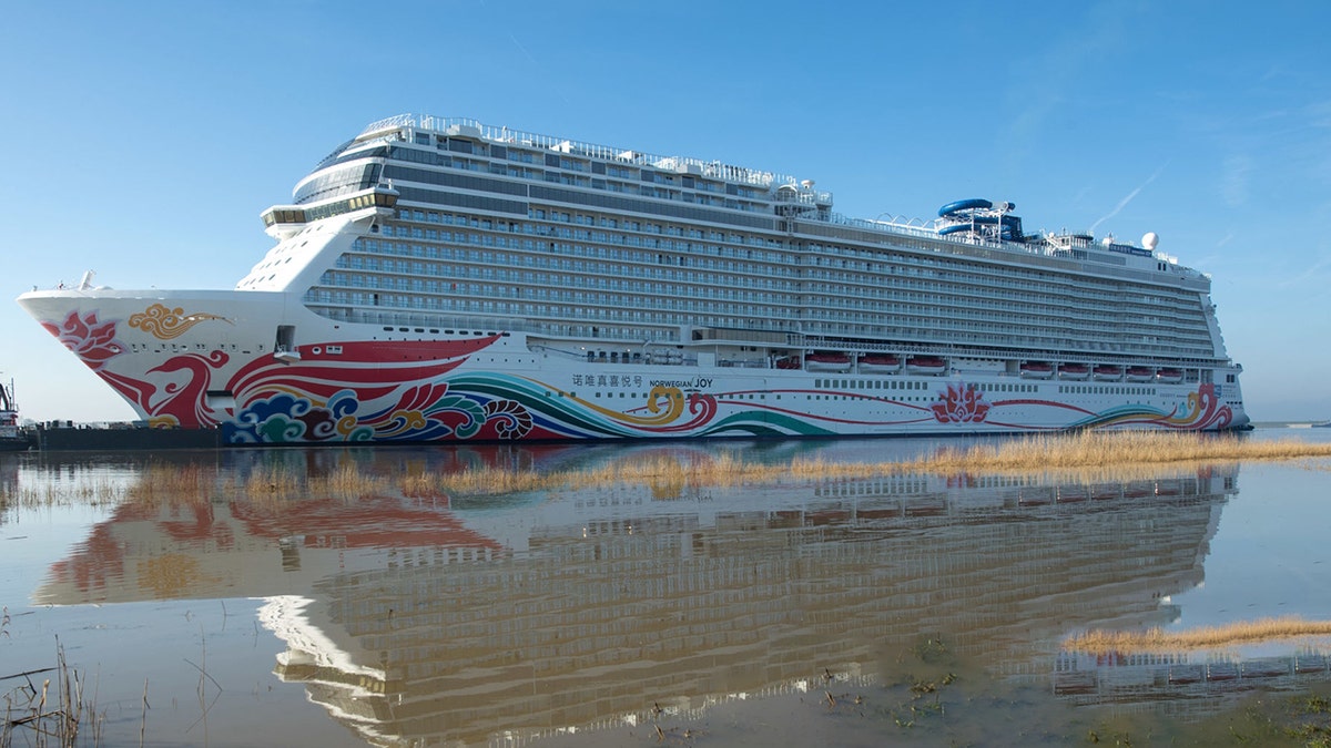 The Norwegian Joy cruise ship docked at the Port of Los Angeles Sunday morning after 20 passengers reported an "unspecified illness," fire officials said.