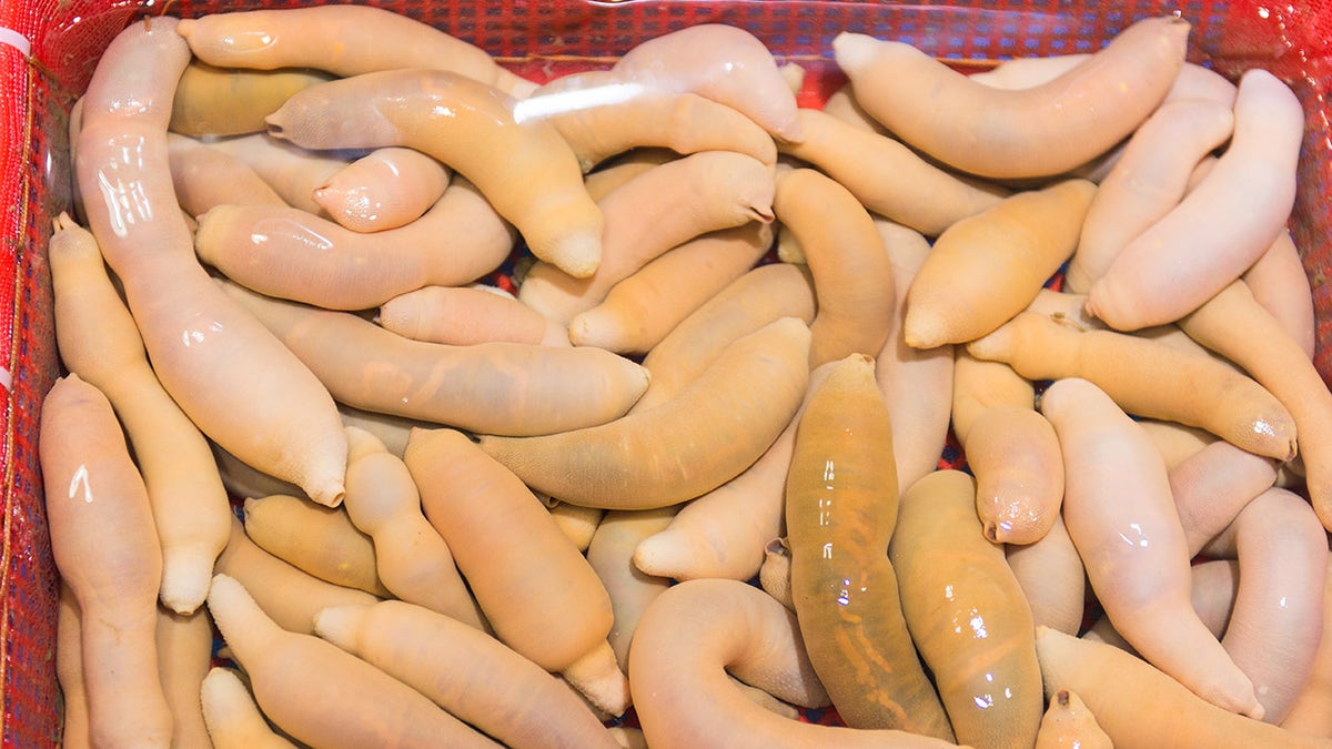 Urechis unicinctus, known as penis fish, innkeeper worm or spoon worm at a market in South Korea - file photo.