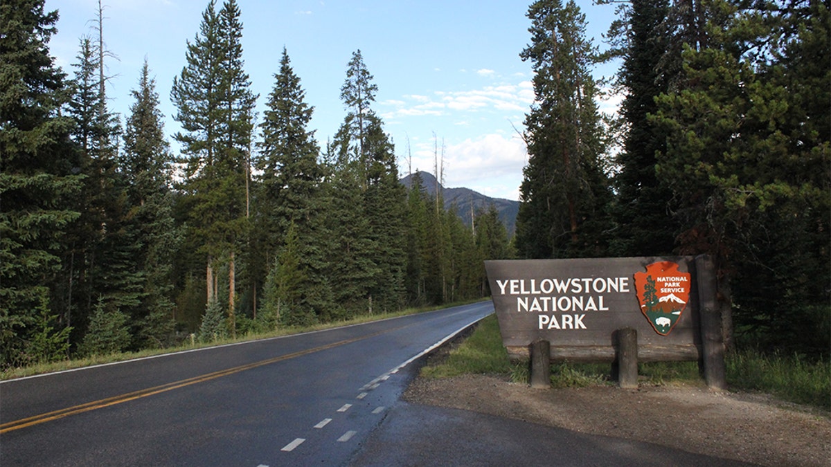 yellowstone road