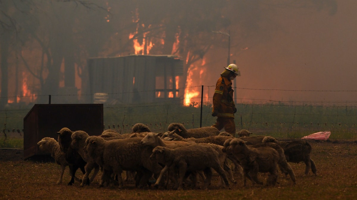 Australia's most populous state of New South Wales declared a seven-day state of emergency Thursday as oppressive conditions fanned around 100 wildfires.