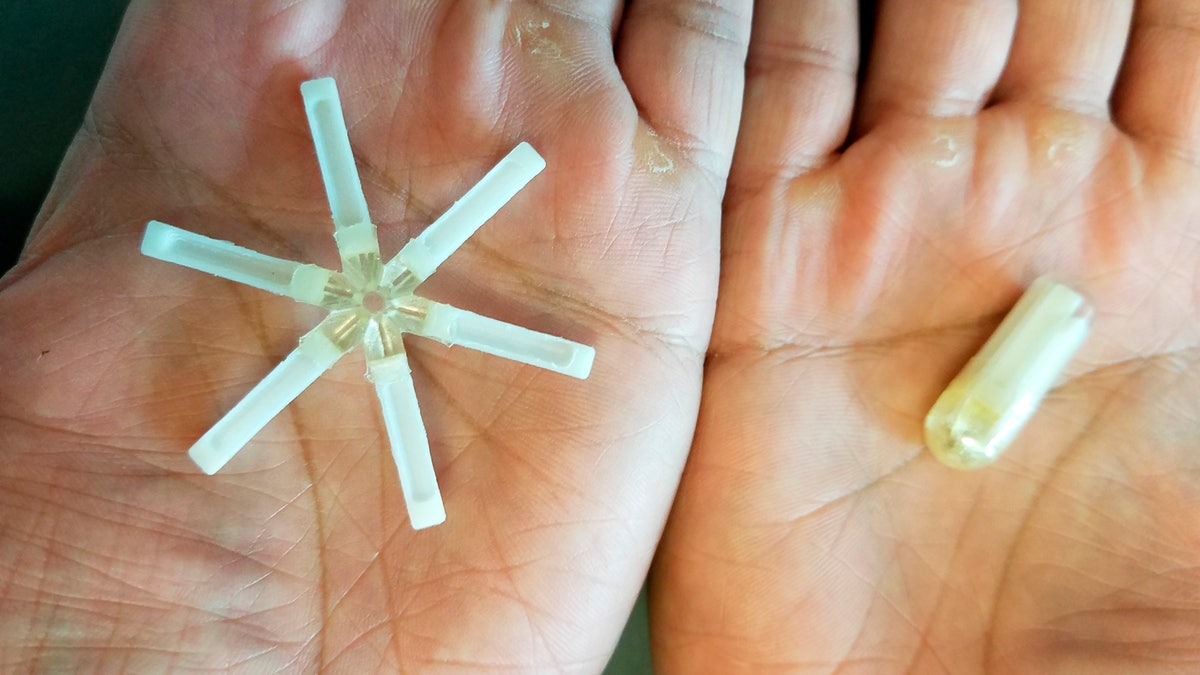 This undated photo provided by MIT/Langer Lab shows a star-shaped gastric resident dosage form of birth control that can be folded into a standard capsule and orally ingested. The dosage form resides in the stomach for up to a month where it releases the contraceptive drug.