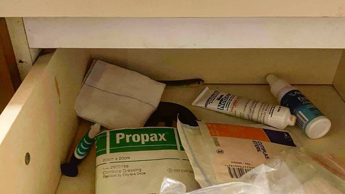 The eastern brown snake was found in the top drawer of the bathroom vanity. (Sunshine Coast Snake Catchers)