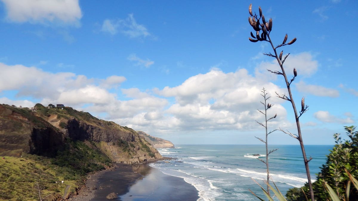 A German multi-millionaire has invited 10 people to live with him on his 550-acre property on the west coast of northern New Zealand. 