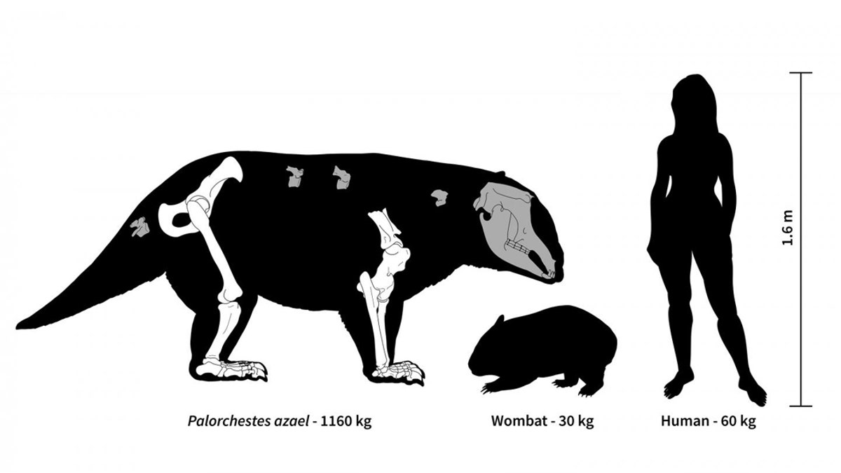 (Credit: Centre of Excellence for Australia Biodiversity and Heritage.)