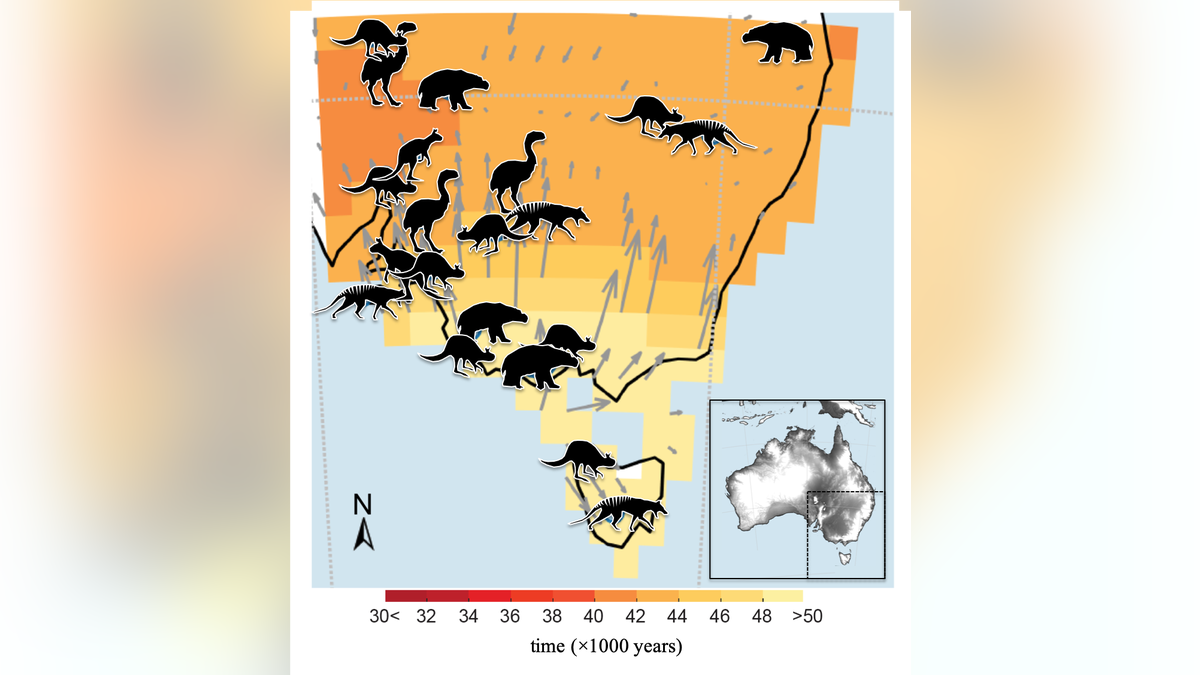 (Credit: Centre of Excellence for Australia Biodiversity and Heritage)
