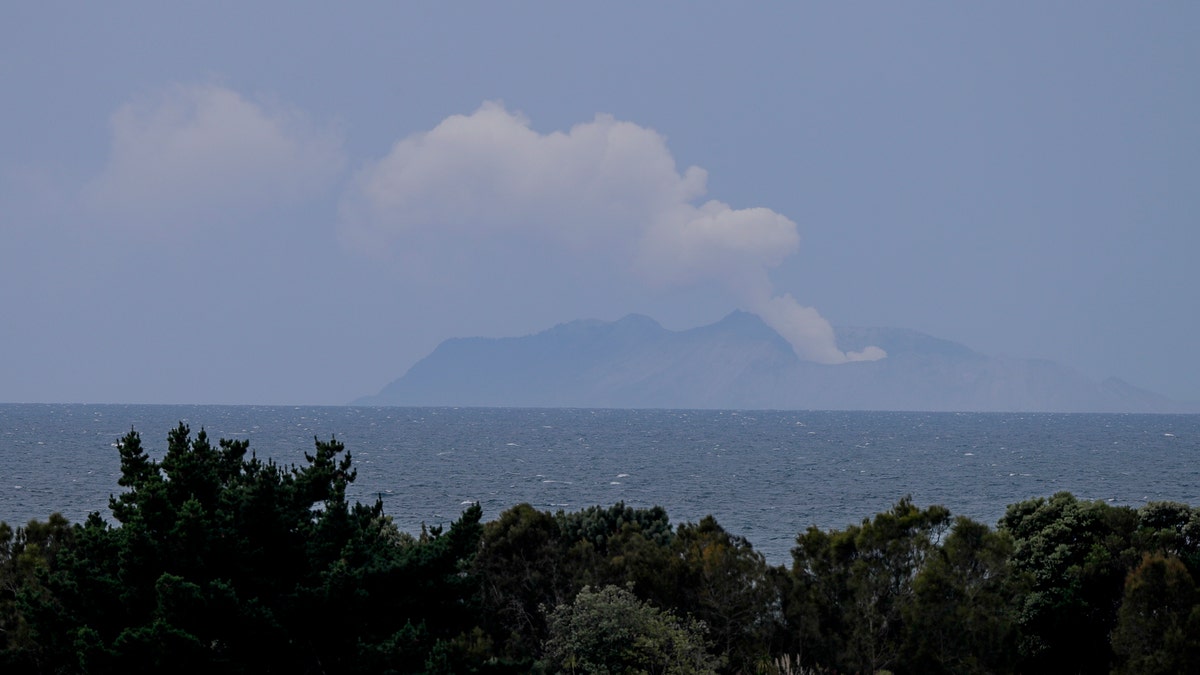 Plumes of steam rise above White Island off the coast of Whakatane, New Zealand, Wednesday, Dec. 11, 2019.