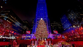 Home for the holidays: Rockefeller tree arrives in NYC