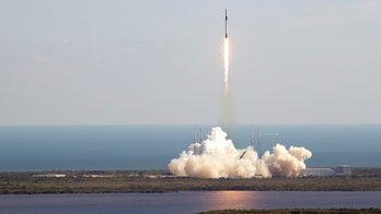 SpaceX launches payload of 'muscle mice,' barley grains to space station