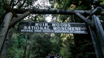 California redwood tree falls, kills hiker at national park