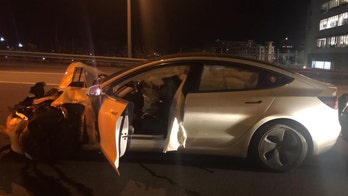 Tesla on autopilot rear-ended Connecticut cop car as driver checked on dog: police