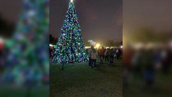 Pair accused of climbing a Florida city's 35-foot Christmas tree, throwing ornaments