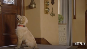 ‘Fuller House’ dog Cosmo dead after complications from surgery: 'You'll be so missed'