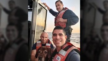 Coast Guard rescues Florida dog spotted swimming for its life