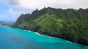 Remains of 6 aboard Hawaii tour helicopter found after crash, search for last person to continue: officials